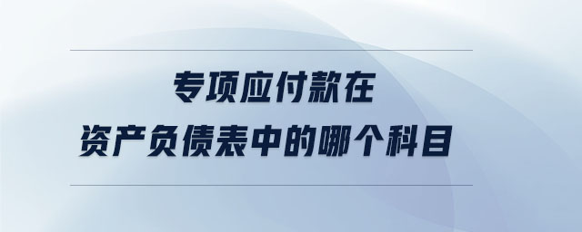專項應付款在資產負債表中的哪個科目