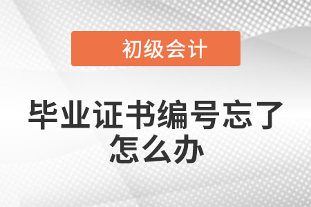 2023年初級會計職稱報名，畢業證書編號忘了怎么辦？