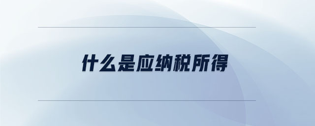 什么是應(yīng)納稅所得