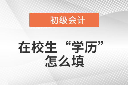 在校大學生2023年初級會計職稱報名信息表中的“學歷”怎么填？