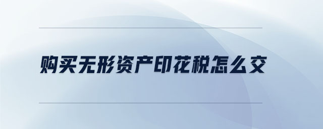 購買無形資產印花稅怎么交