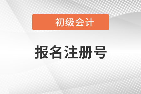 初級會計報名注冊號是什么？有什么用？