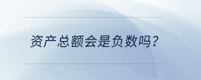 資產(chǎn)總額會(huì)是負(fù)數(shù)嗎？