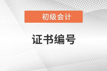2023年初級會計報名表上有兩個證書編號，怎么填？