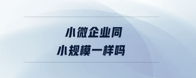 小微企業同小規模一樣嗎