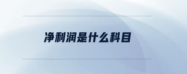 凈利潤是什么科目