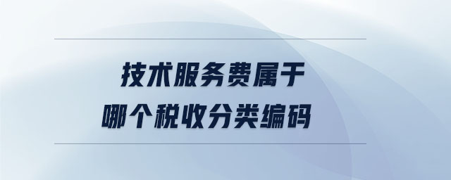 技術服務費屬于哪個稅收分類編碼