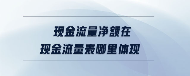 現金流量凈額在現金流量表哪里體現