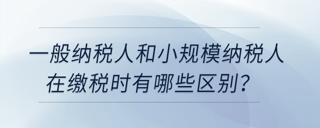 一般納稅人和小規模納稅人在繳稅時有哪些區別？