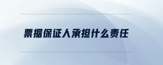 票據(jù)保證人承擔(dān)什么責(zé)任