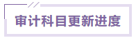 審計 審計