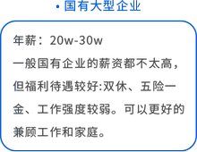 國有大型企業