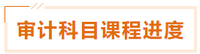 審計 審計