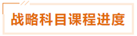 戰略 戰略