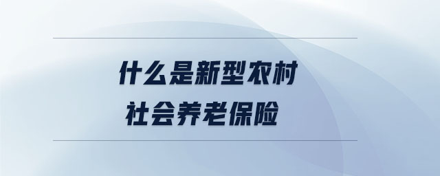 什么是新型農村社會養老保險