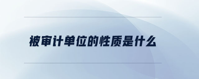 被審計單位的性質是什么