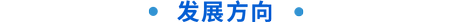 發展方向