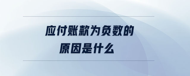 應付賬款為負數的原因是什么