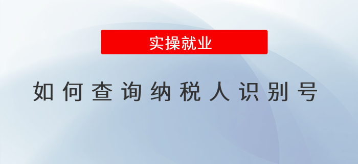 如何查詢納稅人識別號？