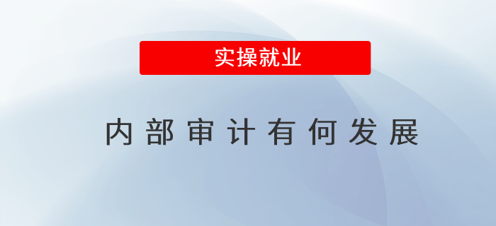 內部審計有何發展