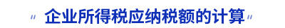 初級會計 初級會計