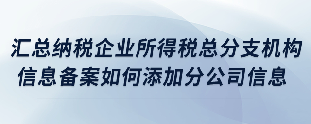 匯總納稅企業所得稅總分支機構信息備案如何添加分公司信息？