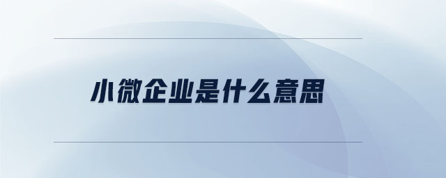 小微企業是什么意思