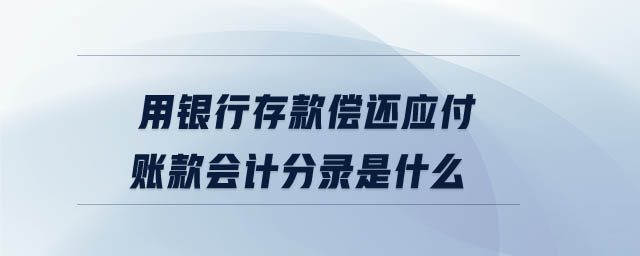 用銀行存款償還應(yīng)付賬款會計分錄是什么