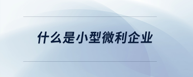什么是小型微利企業？