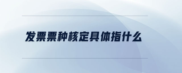發票票種核定具體指什么