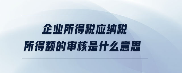 企業所得稅應納稅所得額的審核是什么意思