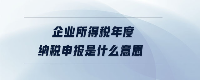 企業所得稅年度納稅申報是什么意思