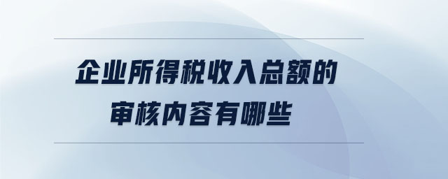 企業所得稅收入總額的審核內容有哪些