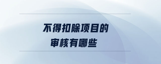 不得扣除項目的審核有哪些