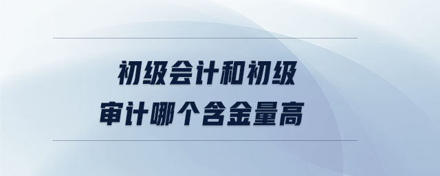 初級會計和初級審計哪個含金量高