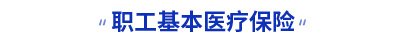 初級會計職工基本醫療保險考點