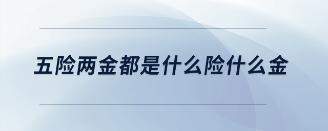 五險兩金都是什么險什么金？