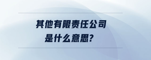 其他有限責任公司是什么意思