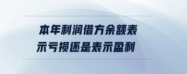 本年利潤借方余額表示虧損還是表示盈利