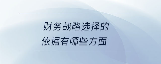 財務戰略選擇的依據有哪些方面