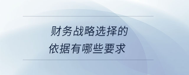 財務戰略選擇的依據有哪些要求