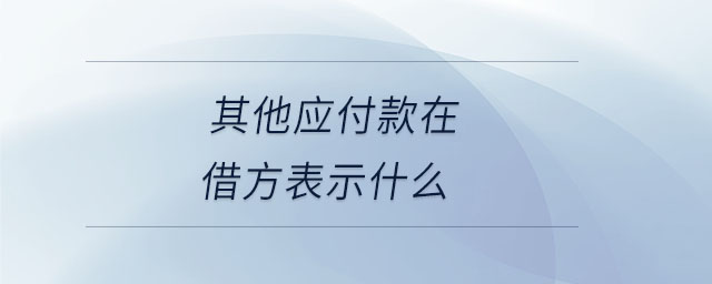其他應付款在借方表示什么