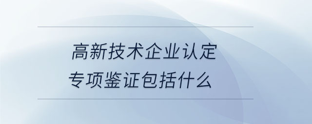 高新技術企業認定專項鑒證包括什么