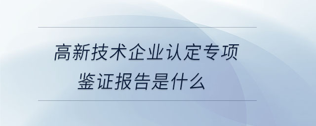 高新技術企業認定專項鑒證報告是什么