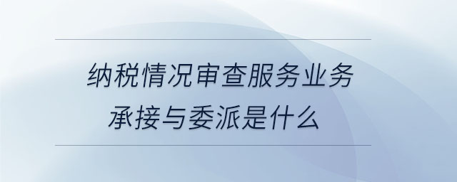 納稅情況審查服務業務承接與委派是什么