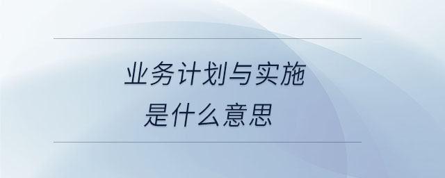 業務計劃與實施是什么意思