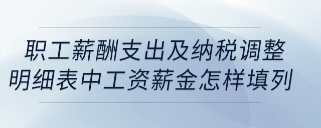職工薪酬支出及納稅調整明細表中工資薪金怎樣填列？