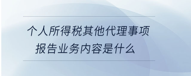 個人所得稅其他代理事項報告業務內容是什么