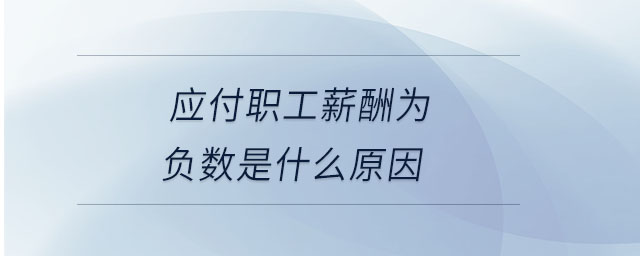 應付職工薪酬為負數是什么原因