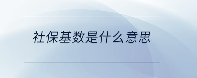社保基數(shù)是什么意思？